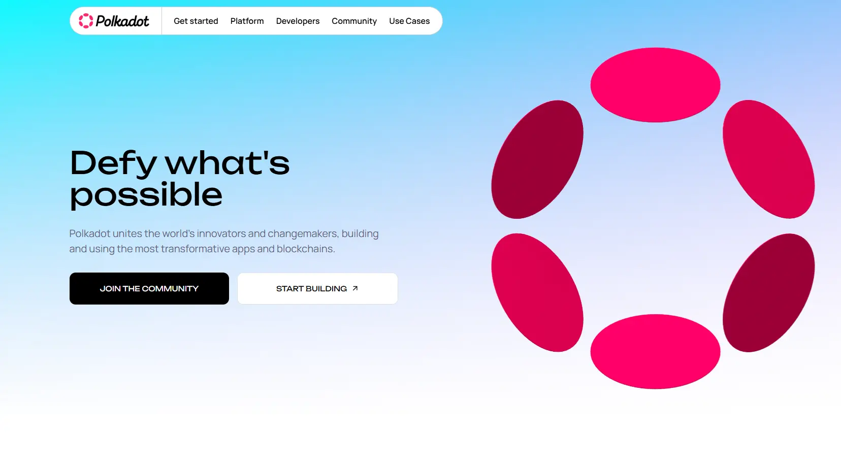 Polkadot's official website