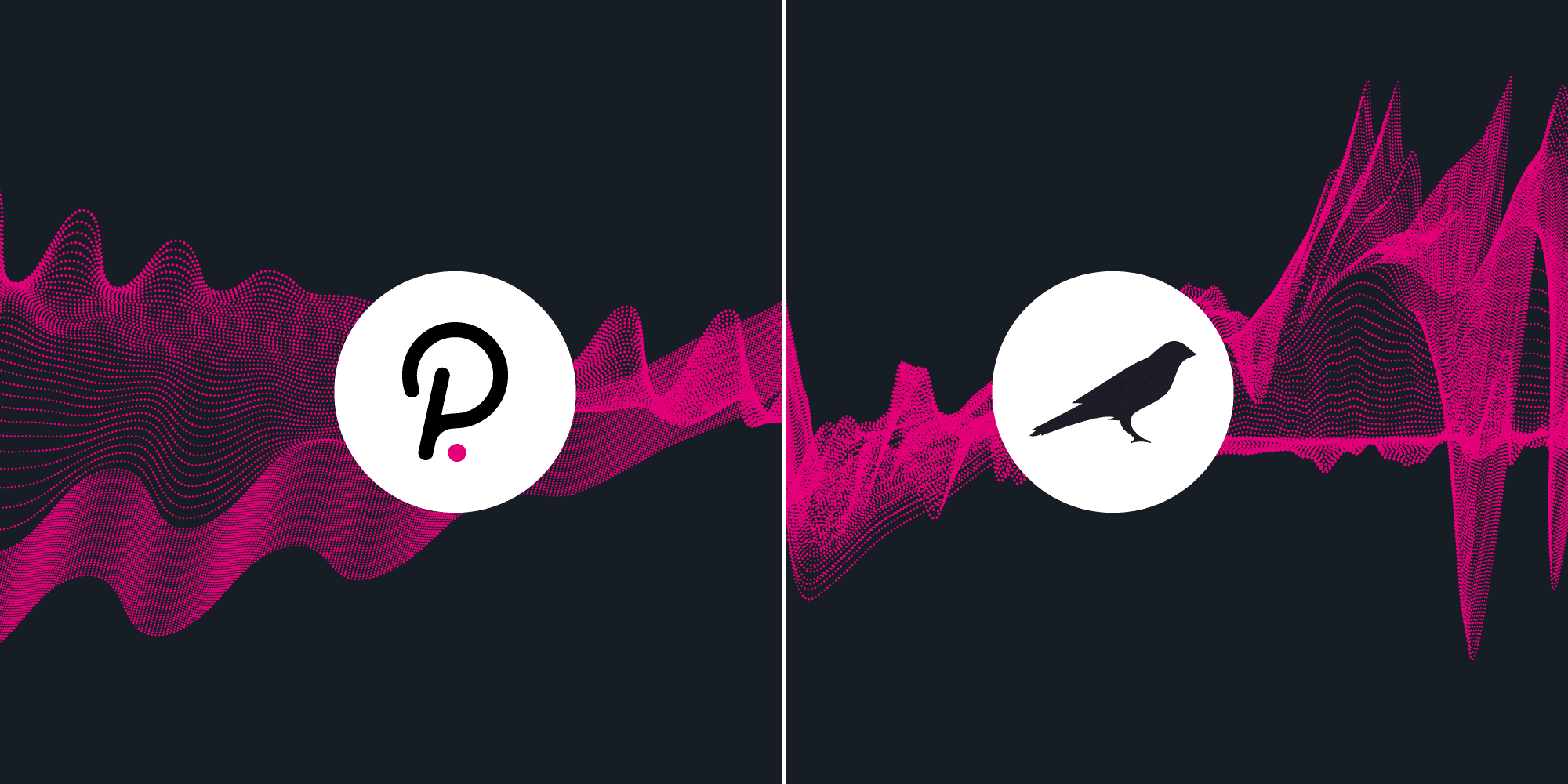 A promising pair of tokens for investment
