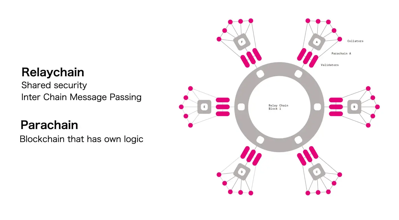 Polkadot Ecosystem